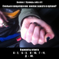 Кнопки // Проверь себя #31
