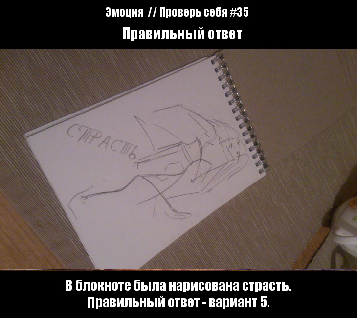 Эмоция — Правильный ответ // Проверь себя #35